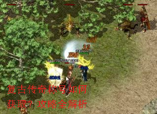 ���Ŵ���ƺ���λ�ȡ������ȫ����