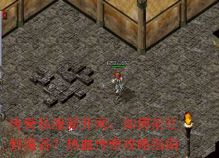 ����˽���¿��������ǰ����ħ�ȣ���Ѫ���湥��ָ��