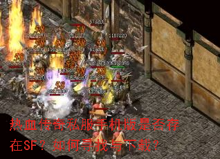 ��Ѫ����˽���ֻ����Ƿ����SF�����Ѱ�������أ�