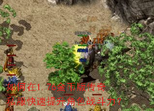 �����1.76��Ұ洫��˽������������ɫս������