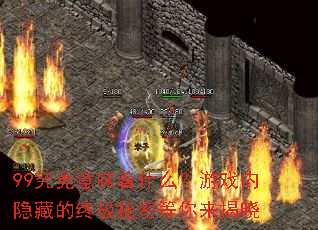 99������ζ��ʲô����Ϸ�����ص��ռ����ܵ���������