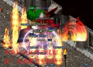 ����������ѡ��ְҵ���ؼ�Ҫ��ȫ����