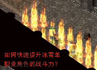 ��ο���������ѩ��ְҵ��ɫ��ս������