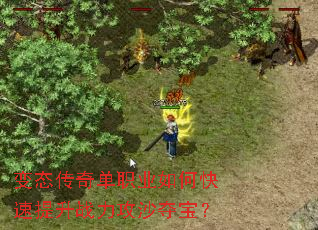 ��̬���浥ְҵ��ο�������ս����ɳ�ᱦ��
