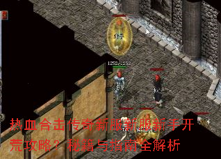 热血合击传奇新服新服新手开荒攻略?秘籍与指南全解析 热血合击传奇新服新服新手开荒攻略?秘籍与指南全解析