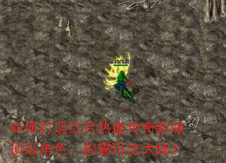 如何打造红月热血传奇新服顶级角色,称霸玛法大陆? 如何打造红月热血传奇新服顶级角色,称霸玛法大陆?