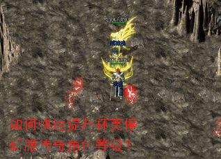 如何快速提升杯莫停新服传奇角色等级? 如何快速提升杯莫停新服传奇角色等级?