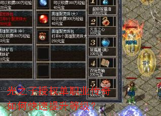 光之子授权单职业传奇如何快速提升等级? 光之子授权单职业传奇如何快速提升等级?