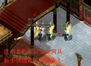 连杀单职业玛法如何从新手快速进阶为霸主? 连杀单职业玛法如何从新手快速进阶为霸主?