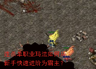 连杀单职业玛法如何从新手快速进阶为霸主? 连杀单职业玛法如何从新手快速进阶为霸主?