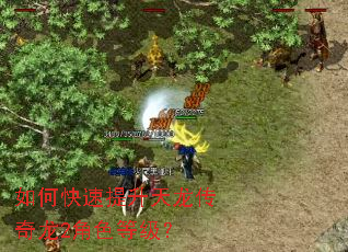 如何快速提升天龙传奇龙2角色等级? 如何快速提升天龙传奇龙2角色等级?