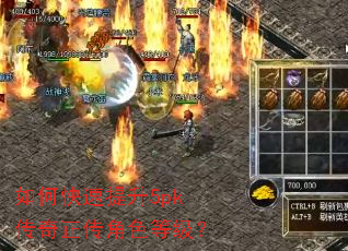 如何快速提升5pk传奇正传角色等级? 如何快速提升5pk传奇正传角色等级?