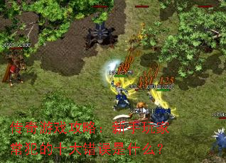 传奇游戏攻略:新手玩家常犯的十大错误是什么? 传奇游戏攻略:新手玩家常犯的十大错误是什么?