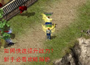 如何快速提升战力?新手必看攻略解析 如何快速提升战力?新手必看攻略解析