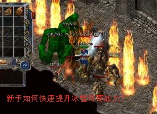 ������ο���������ѩ����ս����