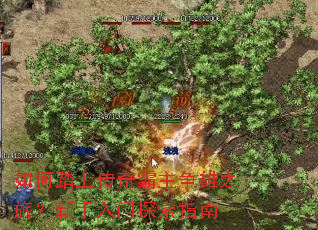 如何踏上传奇霸主争雄之旅?新手入门探索指南 如何踏上传奇霸主争雄之旅?新手入门探索指南