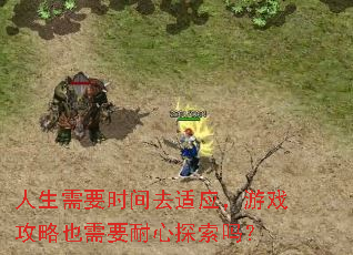 人生需要时间去适应,游戏攻略也需要耐心探索吗? 人生需要时间去适应,游戏攻略也需要耐心探索吗?