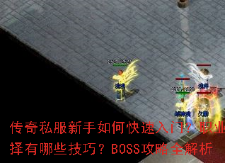 ����˽��������ο������ţ�ְҵѡ������Щ���ɣ�BOSS����ȫ����