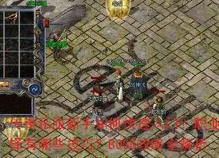 ����˽��������ο������ţ�ְҵѡ������Щ���ɣ�BOSS����ȫ����