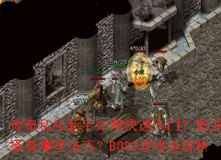 ����˽��������ο������ţ�ְҵѡ������Щ���ɣ�BOSS����ȫ����