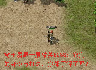 ����ħ��һ�㾫ӢBOSS�����ǵ�������򷨣��㶼�˽�����