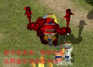 新开微变服,硬核玩家如何最高效光速冲级? 新开微变服,硬核玩家如何最高效光速冲级?