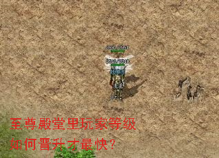 至尊殿堂里玩家等级如何晋升才最快? 至尊殿堂里玩家等级如何晋升才最快?