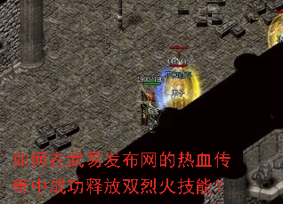 ��������׷���������Ѫ�����гɹ��ͷ�˫�һ��ܣ�