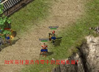 ���ǰ�����Ŵ����еĹ���ȣ�