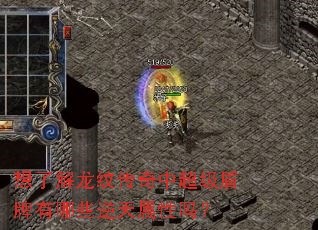 想了解龙纹传奇中超级盾牌有哪些逆天属性吗? 想了解龙纹传奇中超级盾牌有哪些逆天属性吗?