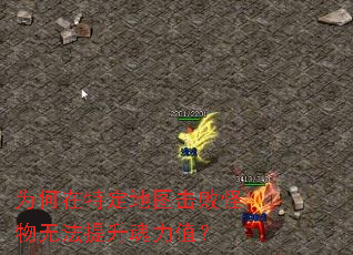 为何在特定地图击败怪物无法提升魂力值? 为何在特定地图击败怪物无法提升魂力值?