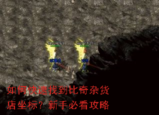 如何快速找到比奇杂货店坐标?新手必看攻略 如何快速找到比奇杂货店坐标?新手必看攻略