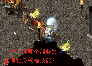 传奇世界哪个服务器区有化身蝙蝠技能? 传奇世界哪个服务器区有化身蝙蝠技能?