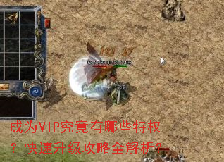 成为VIP究竟有哪些特权?快速升级攻略全解析? 成为VIP究竟有哪些特权?快速升级攻略全解析?