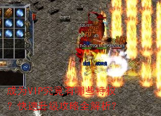 成为VIP究竟有哪些特权?快速升级攻略全解析? 成为VIP究竟有哪些特权?快速升级攻略全解析?
