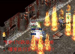 传奇176勋章获取全攻略,哪里能打到顶级勋章? 传奇176勋章获取全攻略,哪里能打到顶级勋章?
