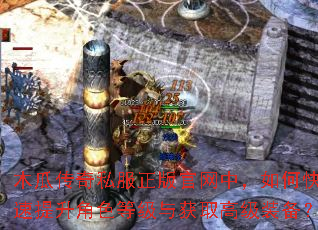 木瓜传奇私服正版官网中,如何快速提升角色等级与获取高级装备? 木瓜传奇私服正版官网中,如何快速提升角色等级与获取高级装备?