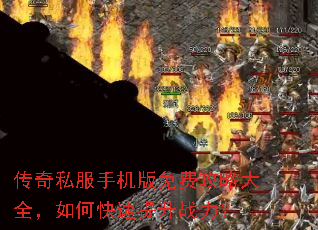 ����˽���ֻ�����ѹ��Դ�ȫ����ο�������ս����