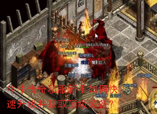 牛牛传奇私服新手如何快速升级并获取顶级装备? 牛牛传奇私服新手如何快速升级并获取顶级装备?