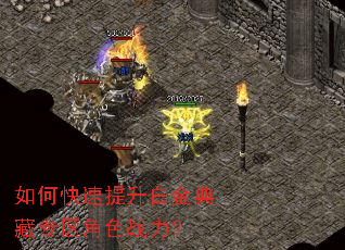 如何快速提升白金典藏专区角色战力? 如何快速提升白金典藏专区角色战力?