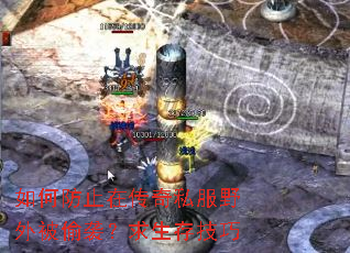 ��η�ֹ�ڴ���˽��Ұ�ⱻ͵Ϯ�������漼��