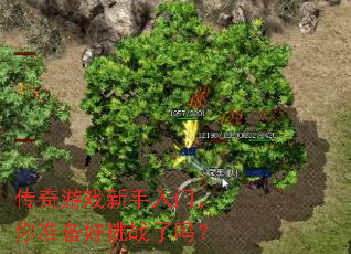传奇游戏新手入门,你准备好挑战了吗? 传奇游戏新手入门,你准备好挑战了吗?