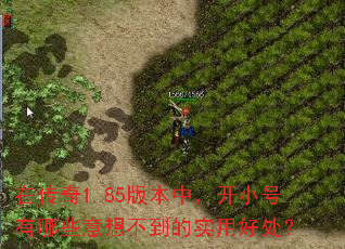 �ڴ���1.85�汾�У���С������Щ���벻����ʵ�úô���