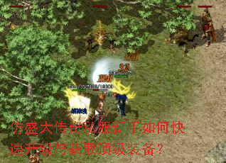 仿盛大传奇私服新手如何快速升级与获取顶级装备? 仿盛大传奇私服新手如何快速升级与获取顶级装备?