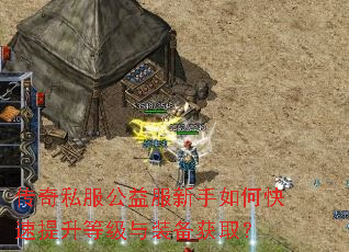 传奇私服公益服新手如何快速提升等级与装备获取? 传奇私服公益服新手如何快速提升等级与装备获取?