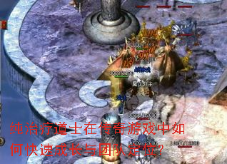 纯治疗道士在传奇游戏中如何快速成长与团队定位? 纯治疗道士在传奇游戏中如何快速成长与团队定位?