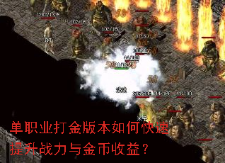 ��ְҵ���汾��ο�������ս���������棿