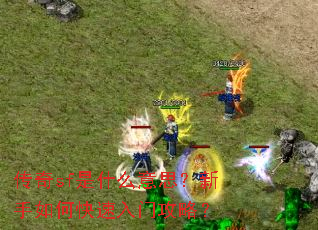 传奇sf是什么意思?新手如何快速入门攻略? 传奇sf是什么意思?新手如何快速入门攻略?
