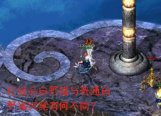 打极品白野猪与普通白野猪究竟有何不同? 打极品白野猪与普通白野猪究竟有何不同?