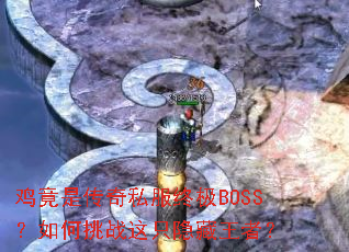 �����Ǵ���˽���ռ�BOSS�������ս��ֻ�������ߣ�